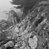 Crumbling Bluff in Summer Fog, The Sea Ranch