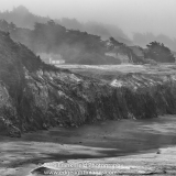 Summertime Morning Fog, Black Point Beach