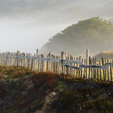 Morning Mist, Black Point Bluff