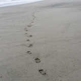 Morning Walk, Study I, Black Point Beach Morning Walk, Study I, Black Point Beach