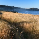 Summer Sunrise: Shepards Meadow Above Black Point Beach