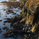 Bluff at Galleon's Point, Minus Tide, Study I