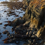 Bluff at Galleon's Point, Minus Tide, Study I Bluff at Galleon's Point, Minus Tide, Study I