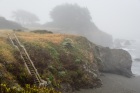 June Fog, Pebble Beach June Fog, Pebble Beach