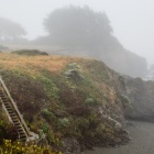 June Fog, Pebble Beach