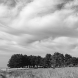 November Afternoon Light & Clouds Study II, Stornetta Public Lands