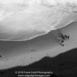 Surf & Bluff Shadow, Ohlson Beach, The Sea Ranch